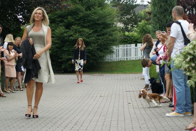 Fotografie z výstavy 8 – V pohybu