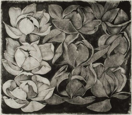 Dalibor Smutný – Magnolie